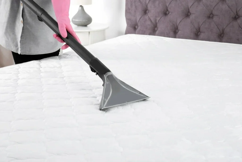 Expert Carpet Cleaning in Florida