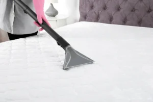 Expert Carpet Cleaning in Florida