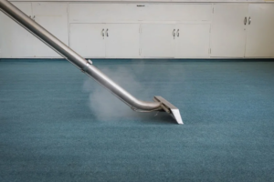 carpet cleaning Miami FL