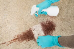 Carpet Stain Removal in Florida