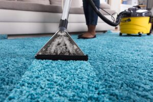 Commercial Carpet Cleaning Hollywood FL