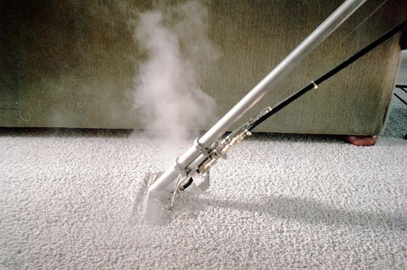 Hot Water Extraction Carpet Cleaning in Florida